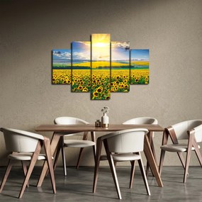 Kép - Napraforgó mező (150x105 cm)
