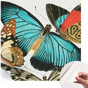 Öntapadós Dekoratív Fotótapéta Hálószobába Színes pillangók 250x250 cm