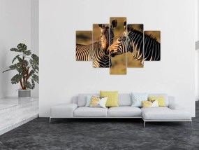 Kép - Két zebra (150x105 cm)