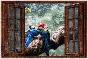 Poszterek 120x80 Szerelmes papagájok