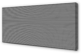 Canvas képek zebra csíkos 100x50 cm