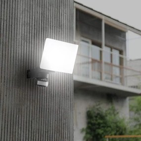 NEDES LFX021 Kültéri Reflektor