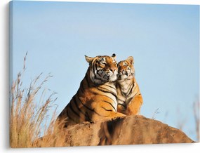 Kép - Tigris és a kölyke (70x50 cm)