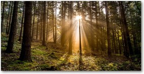 Konyhai napelemes panel 140x70 cm Ragasztó