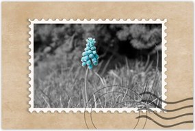 Poszter 60x40 Türkiz virág