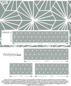 Wallplex konyhahátfal Zöld Hexagon (Méret: 60x240)