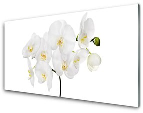 Akrilkép Fehér Orchidea Virág 100x50 cm 2 fogas