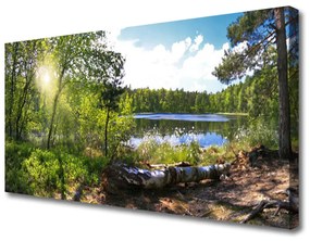 Canvas kép Lake Forest Fák Nature 100x50 cm