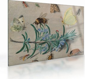 Üveg kép - Jan van Kessel the Elder, Insects and a Sprig of Rosemary, reprodukciók (70x50 cm)