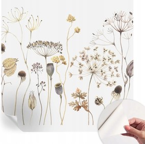 Öntapadós Dekoratív Fotótapéta Hálószobába Mezei virágok 250x250 cm