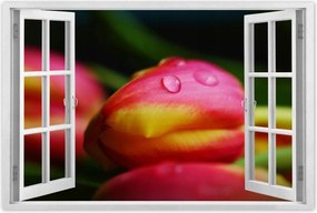 Poszterek 90x60 Tulipánok makró fotó