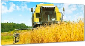 Képek 115x55 Kombájn gabona kaszálás