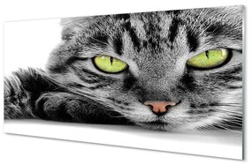 Üvegképek Szürke-fekete macska 125x50 cm