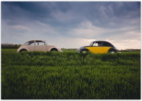 Poszterek 100x70 Volkswagen Bogár