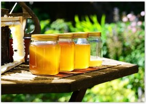 Poszterek 100x70 Természetes méz