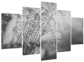 Kép - Mező az eső után (150x105 cm)