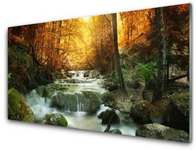 Fali üvegkép Forest őszi vízesés Természet 100x50 cm 2 fogas