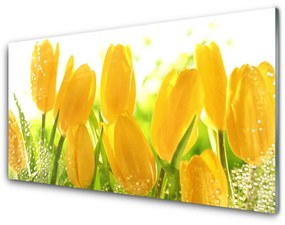 Akrilüveg fotó Tulipán virágok Plant 100x50 cm 2 fogas