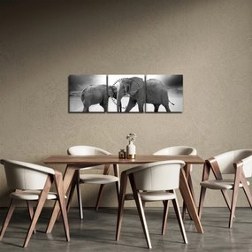 Kép - fekete fehér elefántok (órával) (90x30 cm)