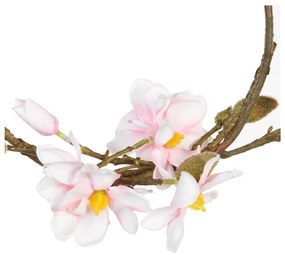 Koszorú Magnolia – Ixia
