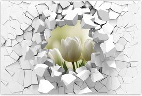 Poszterek 90x60 Fehér tulipánok