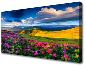 Vászonkép Mezei virágok természet Plant 140x70 cm