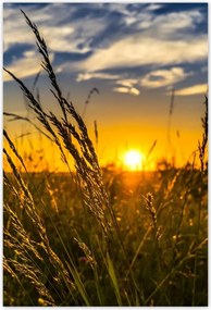 Poszterek 125x185 Naplemente a füvek között
