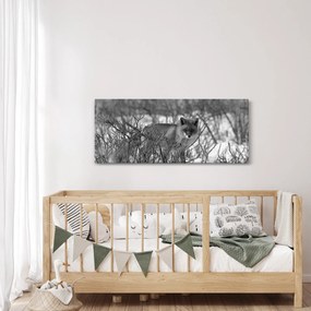 Kép - Róka télen (120x50 cm)