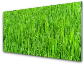 Üvegkép Nature Green Grass Turf 100x50 cm 2 fogas