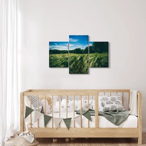 Rét és az erdő képe (90x60 cm)