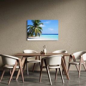 Pálmafák a strandon képe (90x60 cm)
