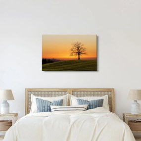 Naplemente a réten képe (90x60 cm)