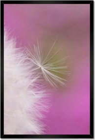 Poszterek keretben 40x60 Pitypang Virág Virágok