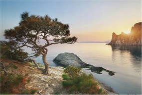 DekoratĂv fotĂłtapĂ©ta az irodĂĄba Nyugodt termĂ©szet 104x70 RagasztĂł