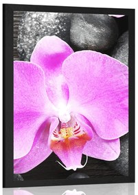 Poszter csodás orchidea és kövek