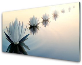 Akril üveg kép Fehér Víz liliom Tavirózsa 100x50 cm