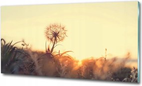 Fotó üvegkép Hawaii virágok 100x70