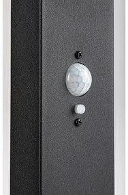 Rabalux 77079 - LASSET LED 4,4W/3,7V IP54 kültéri napelemes lámpa, antracit