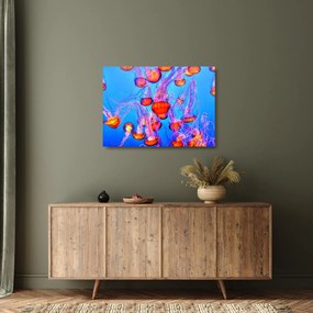 Medúza a tengerben képe (üvegen) (70x50 cm)
