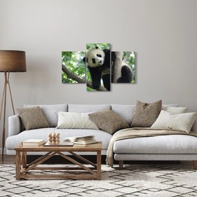Kép - Panda a fán (90x60 cm)