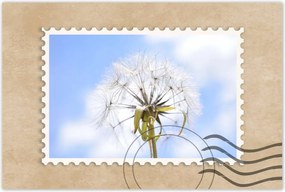 Poszterek 90x60 Pitypang Virág Virágok