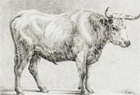 Fotótapéta Flizelina Nappali és Hálószoba Bika ceruza 152x104 Ragasztó