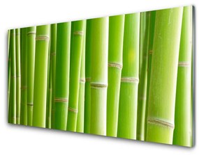 Fali üvegkép Bamboo Stem Flower Plant 100x50 cm 4 fogas