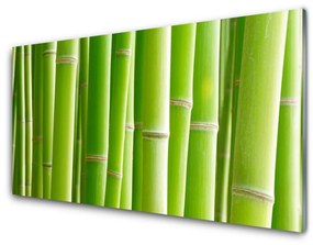 Fali üvegkép Bamboo Stem Flower Plant 140x70 cm