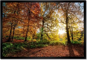 Poszterek keretben 60x40 Tájkép