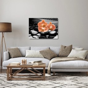 Üveg kép - Narancssárga orchideák (70x50 cm)