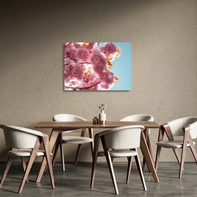 Üveg kép - Cseresznyevirág (70x50 cm)
