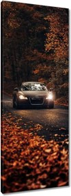 Vászonkép 40x100 Audi Őszi tájkép