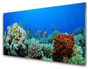 Modern üvegkép Barrier Reef Nature 100x50 cm 2 fogas