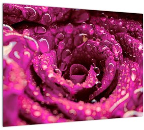 Rózsaszín rózsa virágzata képe (üvegen) (70x50 cm)